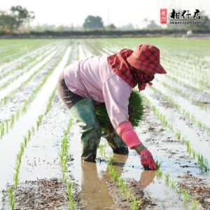 弘昌碾米 – 大力米台梗九號 3kg