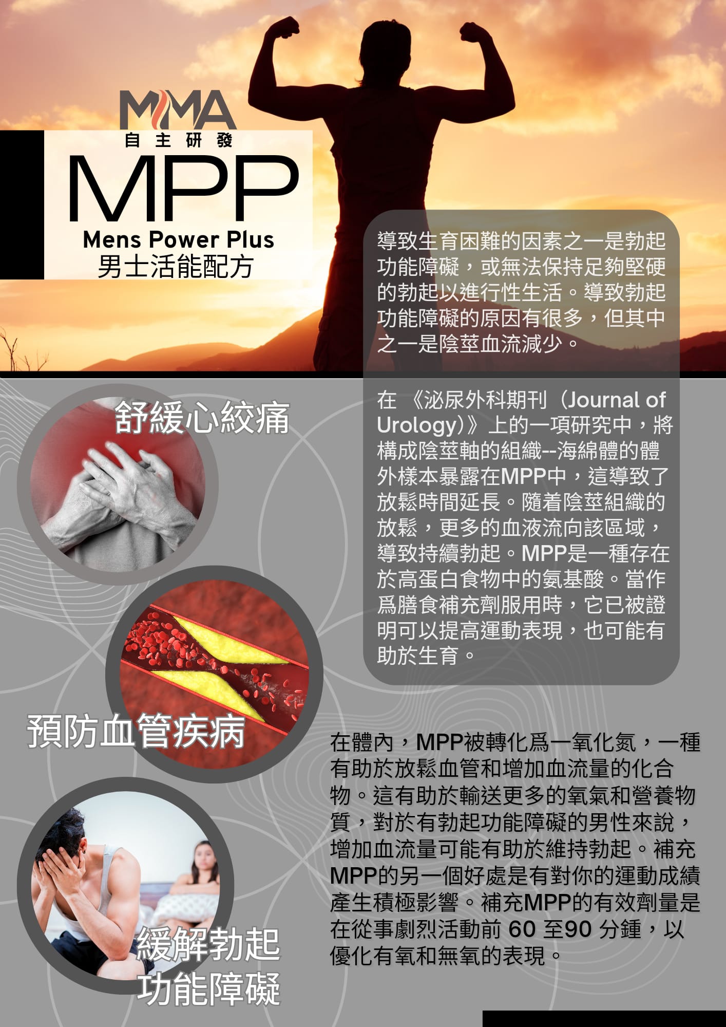 MPP2