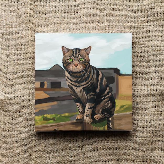 1685950835-cat 1