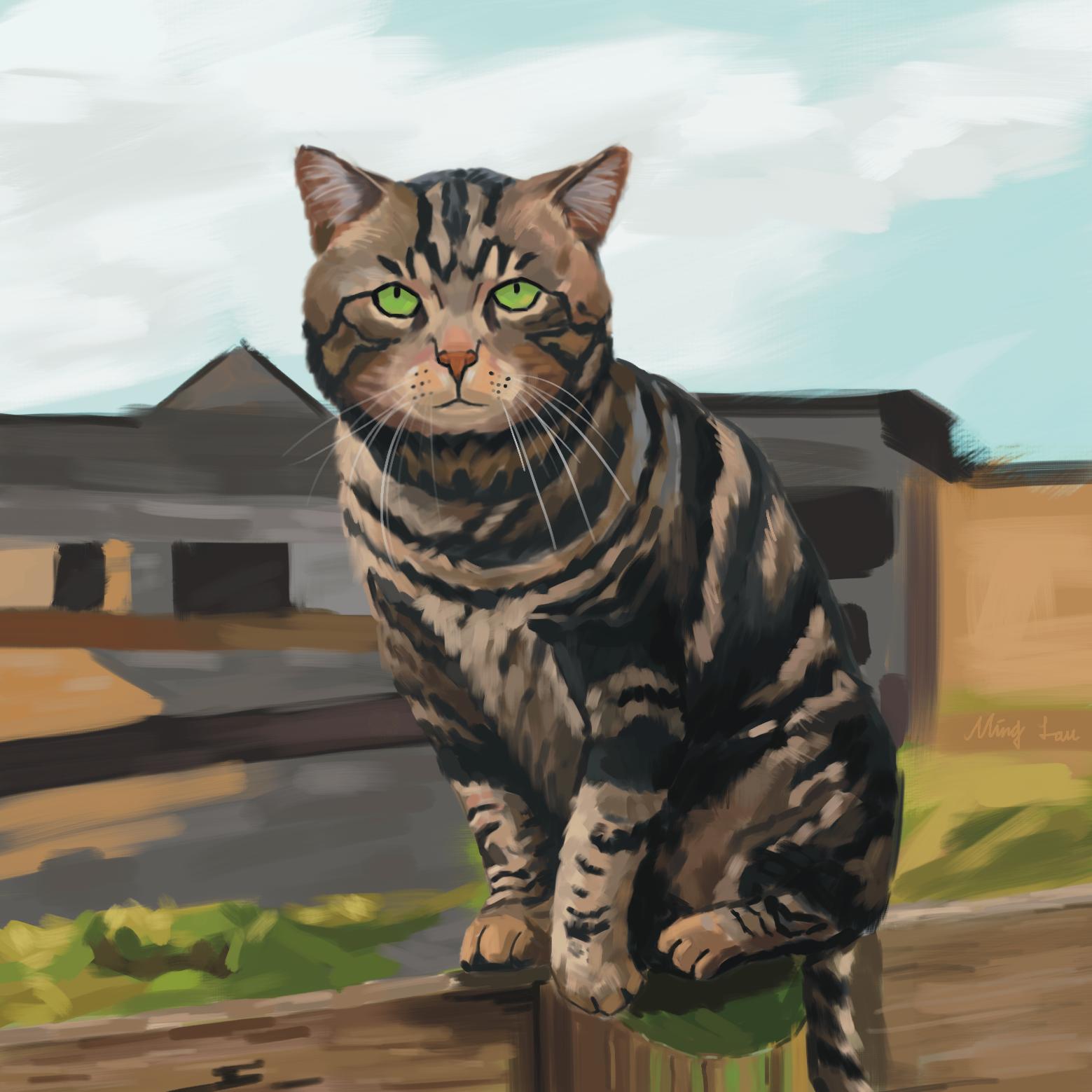 1685950840-cat 2