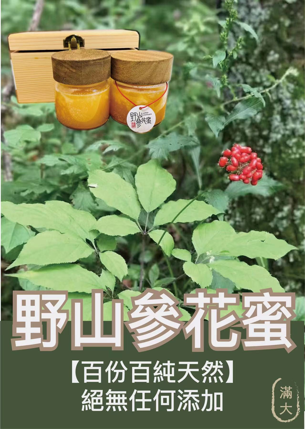 1686032964-野山參花密